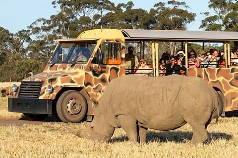 Werribee Zoo & Werribee Mansion Tour