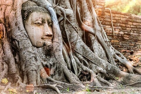 Tour guidato privato di un giorno dell'antica Ayutthaya