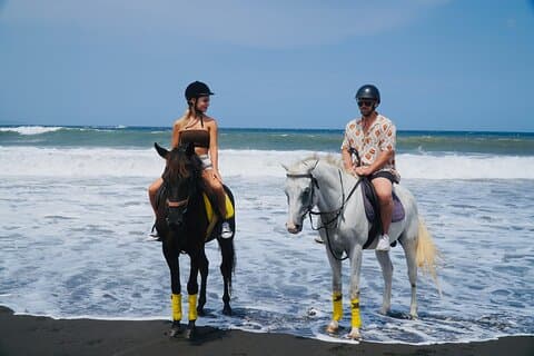 Bali Horse Riding Sanur Beach include Transport