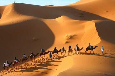 3 - Excursion d'une journée dans le désert du Sahara au départ de Marrakech | Camel Trek &Luxury Camp