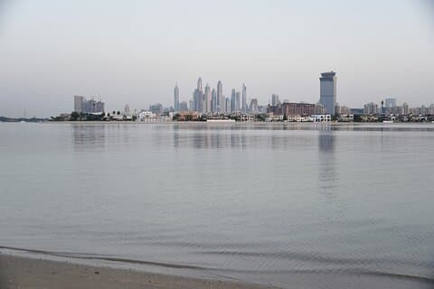 Dubai Tour with Lunch or Dinner