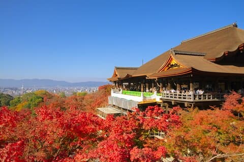 En tur for at udforske Kyotos efterårsløv ved Kiyomizu-dera-templet
