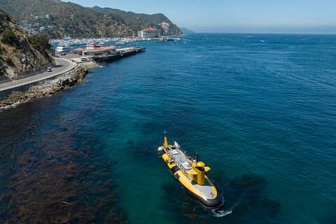 Gul semi-ubåttur på Catalina Island fra Avalon