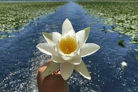 Virpazar Skadar Lake Boat Tour with Wildlife & Nature