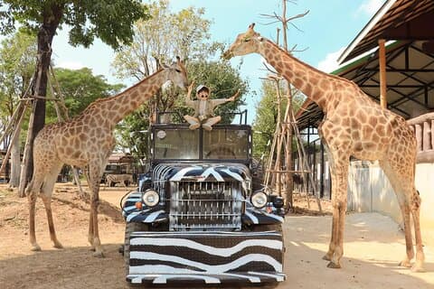 New Zoo in Ayuthaya Must See Temples and Thai Costume