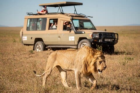 7 jours Premium Luxury Tanzania Tanzania Safari Tout-Inclus
