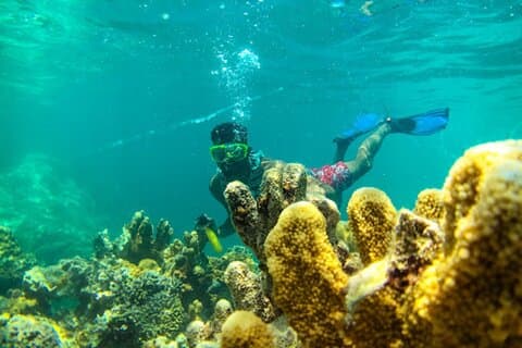 Delfin- und Schnorchelaktivität nach Mnemba ab Nungwi