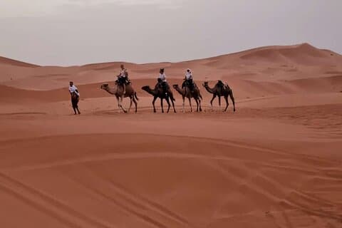 1 Night Experience Camel Trekking Merzouga