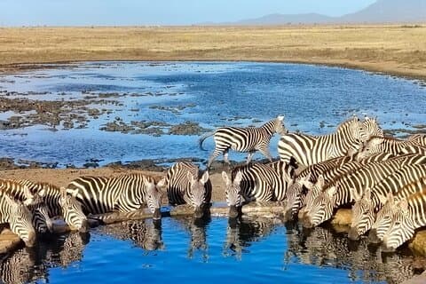 Circuit de 2 jours à Tsavo Est par Elky Tours