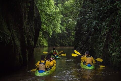 Twilight Kayak Glowworm Tour with Stargazing