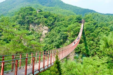 2026 Travellers' choice Best of the Best : DMZ-tour vanuit Seoel