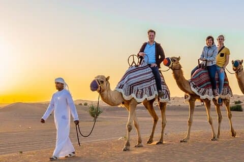 Dubai Desert Safari : Cena de barbacoa y observación de estrellas en Arabian Heritage