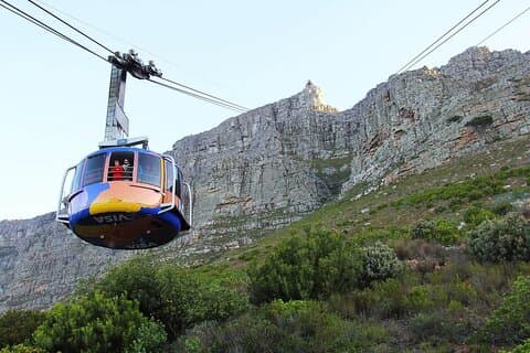 Halbtägige Tour zum Tafelberg-Nationalpark und zur Pinguinkolonie