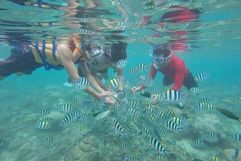Visite guidée privée en apnée à Gili Nanggu Sudak et Kedis