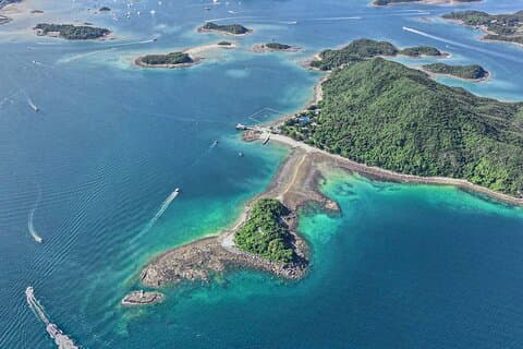 Snorkeling Guided Tour in Hong Kong's Cactus Coral Area