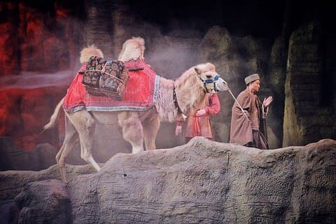 Silk Road Show: Legend of Camel Bell inkluderer tur-og-tur-overførsler