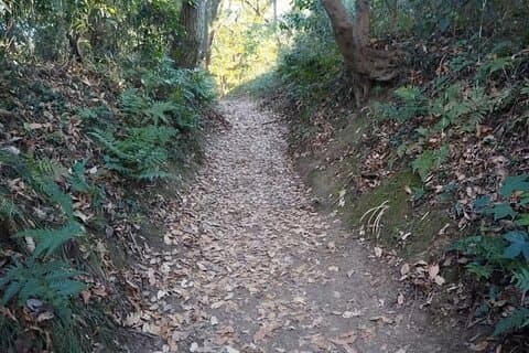 Kamakura Private Cultural and Historical Hiking Tour