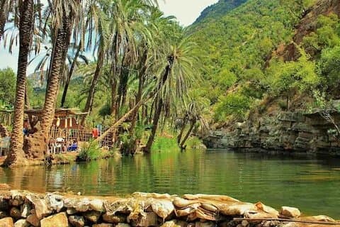 Dagtrip naar de Paradijsvallei vanuit Agadir en Taghazout