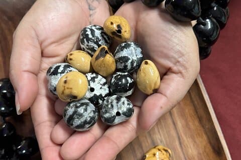 Maak een Kukui Nut-armband op Maui