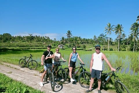 Bali Natural Downhill Cycling Tour: Volcano, Rice Fields & Meals