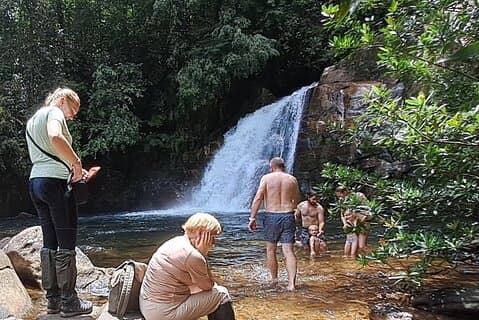 Sinharaja Rainforest Trip