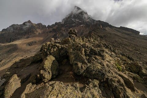 Private Day Tour to Mount Kenya from Nairobi
