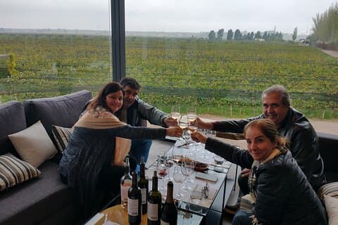 Tour privado nos vinhedos de Luján de Cuyo