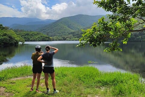 Half-Day MTB Ride to the Tule Tree & Lake