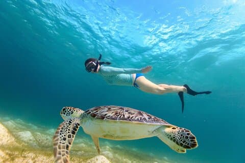 Aventura de snorkel en el cañón de las tortugas de Waikiki