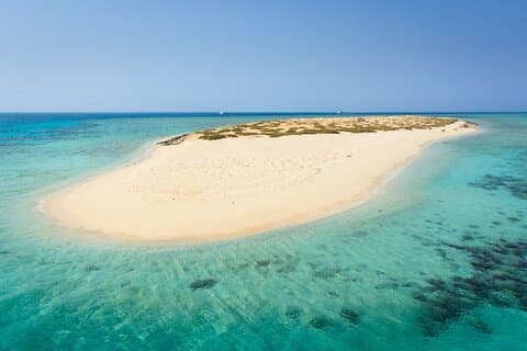 Marsa Mubarak båttur og snorkling med transfer: Marsa Alam