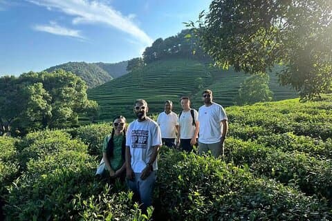 Hangzhou Private Tour from Shanghai by Bullet Train