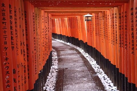 Vroege halve dag naar Kyoto Hoogtepunten