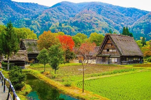 Shirakawago og Takayama 2-dages tur fra Nagoya