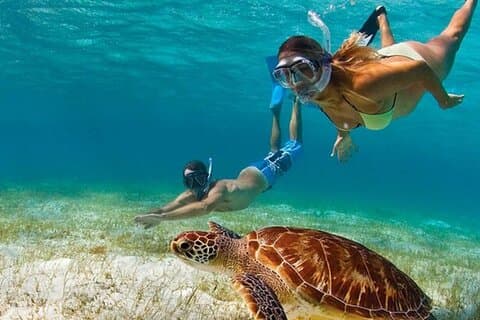 Adventurous-Snorkeling With Sightseeing of Downtown