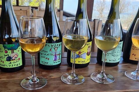 Private Wine Tour In Kakheti Region with 7 Wines and Lunch