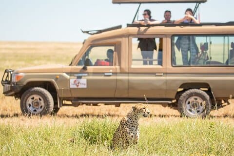 5 jours du meilleur circuit du nord du safari de luxe en Tanzanie