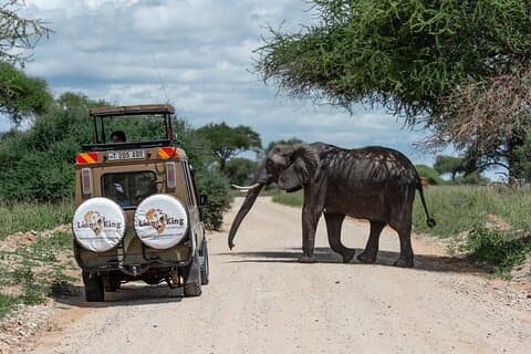 Tarangire Manyara, cratère privé de 6 jours et Serengeti avec résidences secondaires