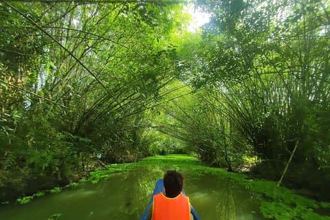 Tour for Nature lover- Lung Ngoc Hoang Nature Reserve in Can Tho