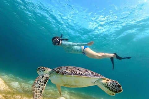 Nagez avec les tortues à Akumal, au cénote et visitez la zone archéologique