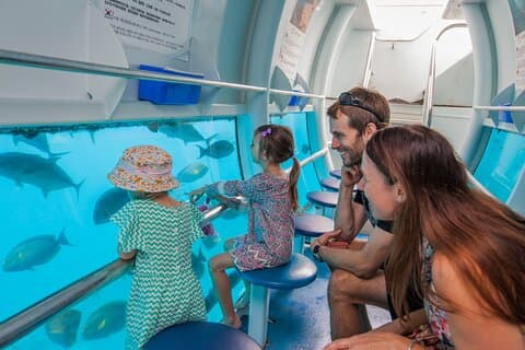 Sunlover Reef Cruises Cairns Great Barrier Reef Experience