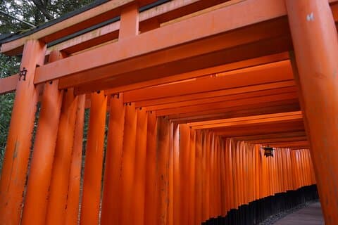 Passeio a pé em Kyoto no Santuário Fushimi Inari e no Templo Tofukuji