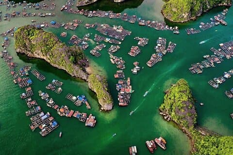 1 Day Boat Tour Lan Ha Bay & Viet Hai Ancient Village from Cat Ba