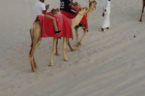 Privat Doha Quad Bike, Hesterid, Camel Ride All Inclusive Tour