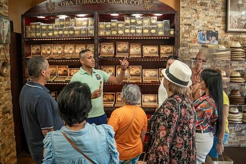 Det bedste ved Miami City Tour – Top steder og lokale højdepunkter (3.5HRS)