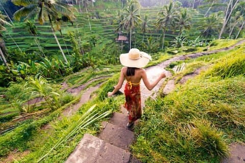 Ubud heldagstur: Privat och anpassningsbar