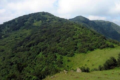 Ngong Hills privat guidet tur