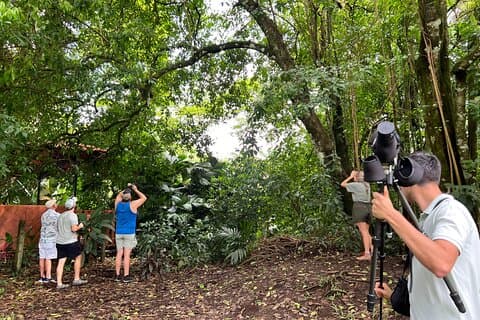 Luiaard ontdekkingstocht in La Fortuna Wildlife