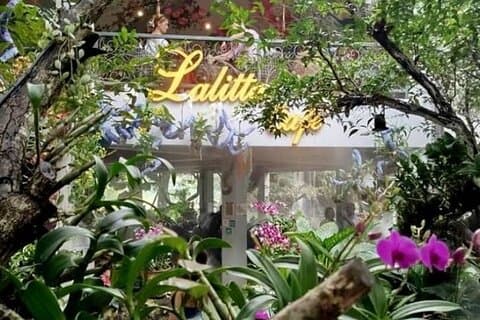 Chiang Mai-Chiang Rai : Temple Blanc-Temple Bleu-Café Lalita