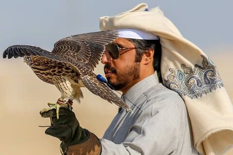 Hoteller i nærheden af Doha City and Desert Safari Tour