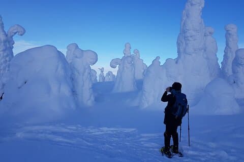 Riisitunturi National Park Snowshoe Adventure
